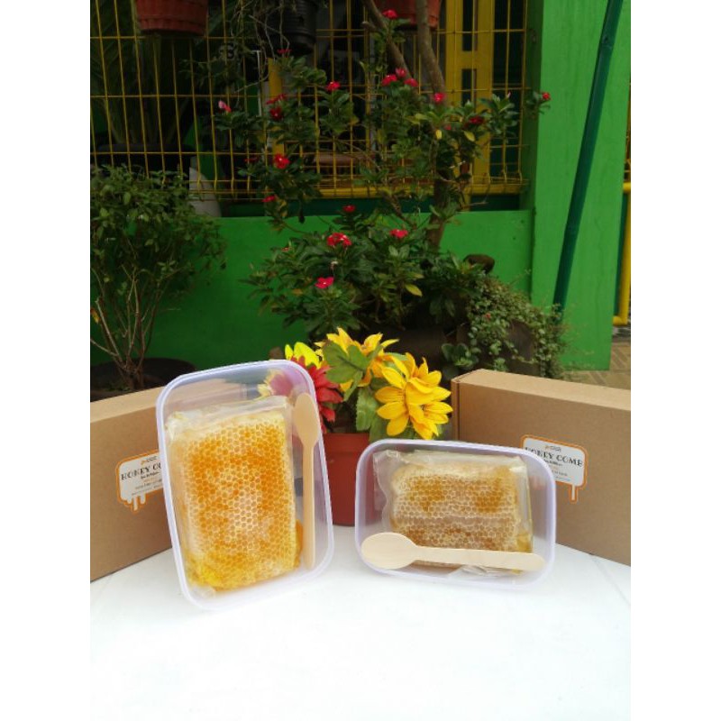 

Madu Sarang Mellifera
