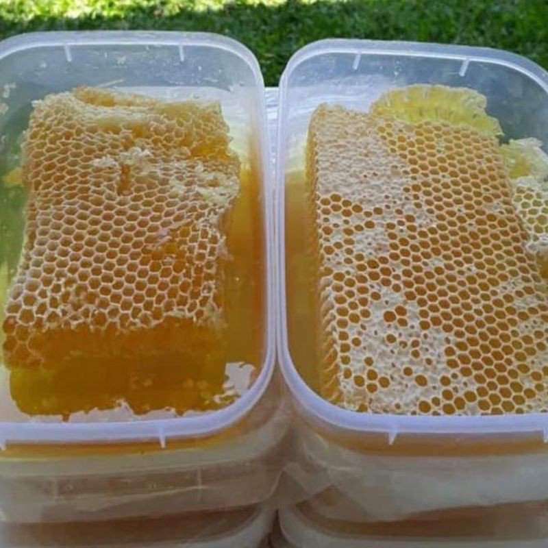 

Madu Sarang 500 gram Melifera (propolis)