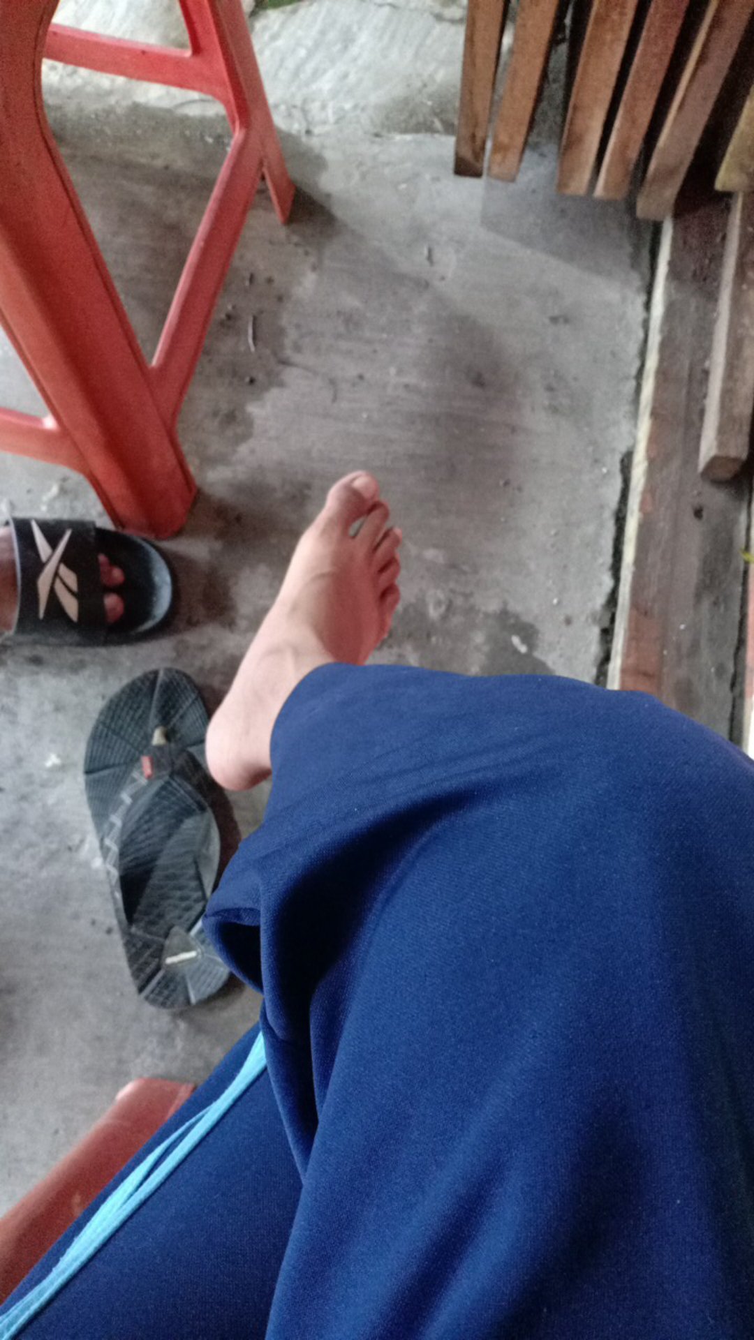 Batik Kalongan Hrb026 Kenongo Kemeja Hem Pendek Padi Pekalongan 64
