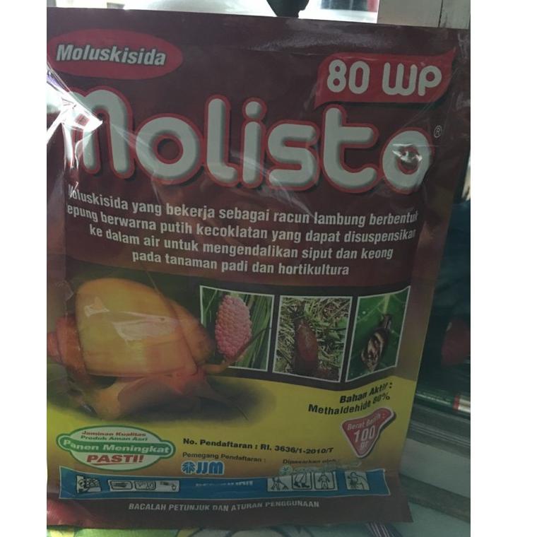 [PROMO RI891] racun keong moluskisida molista molisto ukuran 100 gr