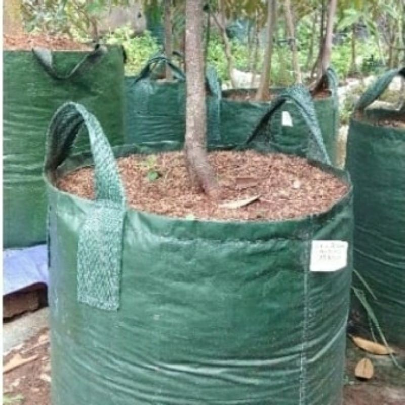 Premium (Mount) planter bag 100liter ukuran 50x50 pot tanaman buah pot bonsai