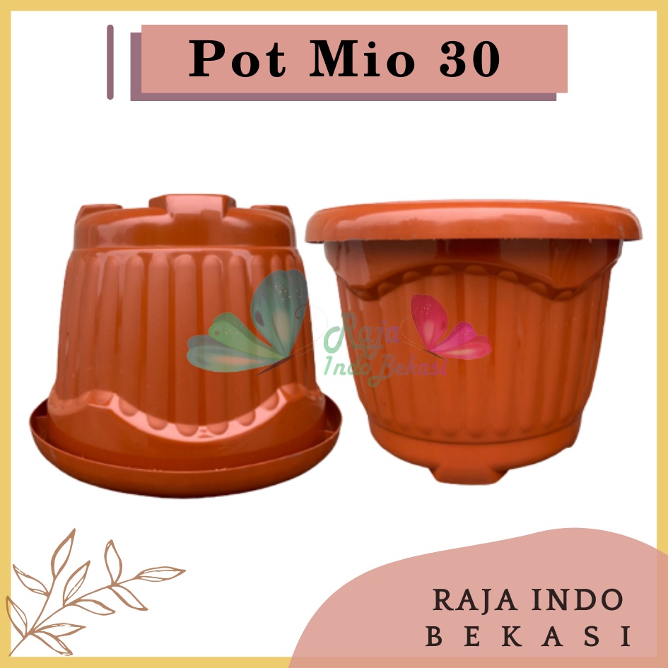 Pot Shallom Mio 30 Merah BataTerracota Terracotta Merah Coklat Pot Bunga Plastik Tebal Murah Besar Kuat Motif Model Belimbing 30 cm Putih Hitam Selusin Lusinan Tebal - SHALLOM MIO 30 pot bunga bulat besar tebal murah