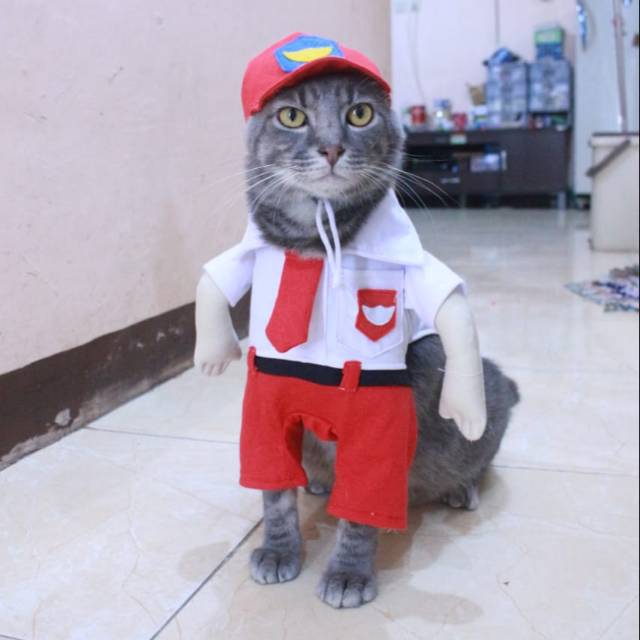 Kucing Pakai Baju Sekolah