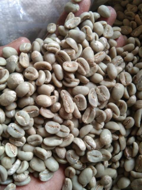 Kopi Biji Arabika Temanggung / Green Bean Arabica Full Wash