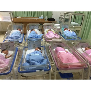 veronicamariacynthia