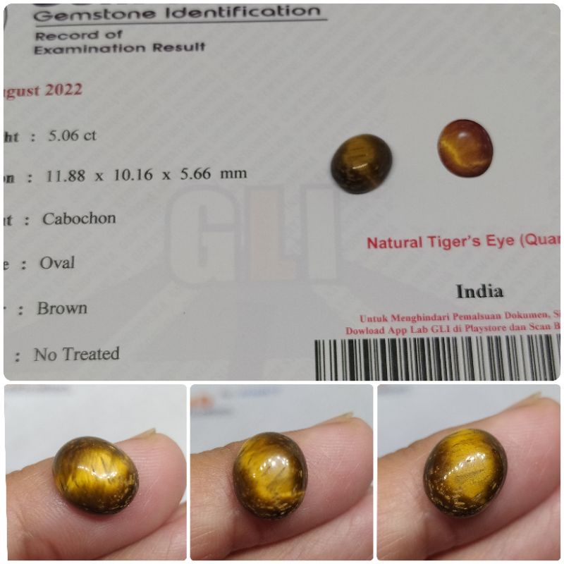 Natural Tiger's Eye Quartz India 5 ct memo GLI