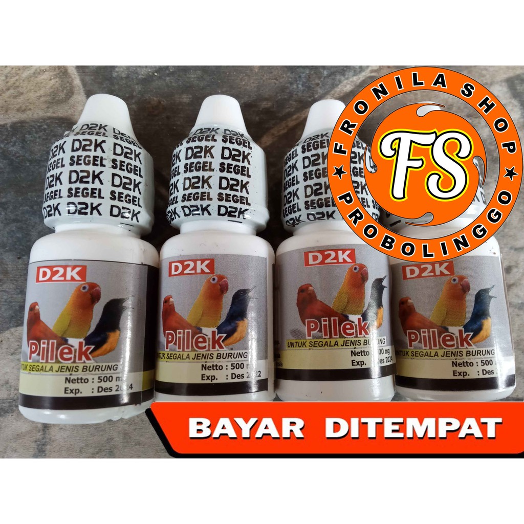 D2K PILEK MENGOBATI BURUNG PILEK FLU BERSIN DAN NGOROK