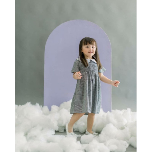 Iblossom Collar smocked dress anak premium