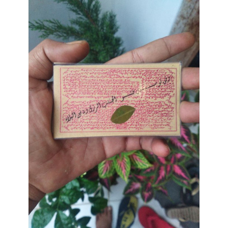 

daun kelor raj ah laminating