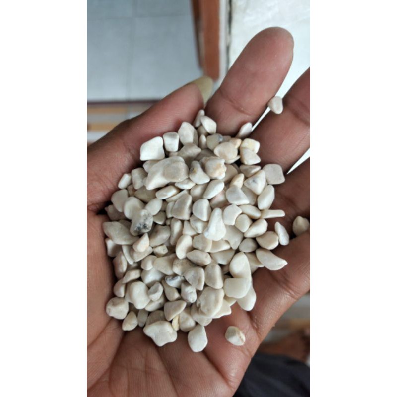 batu koral putih kecil/batu hias tanaman