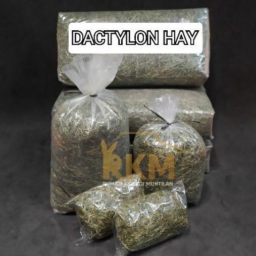 DACTYLON / BERMUDA HAY Lokal & TIMOTHY WOHLSTAND Pakan Kelinci & Marmut Kemasan 100 Gram