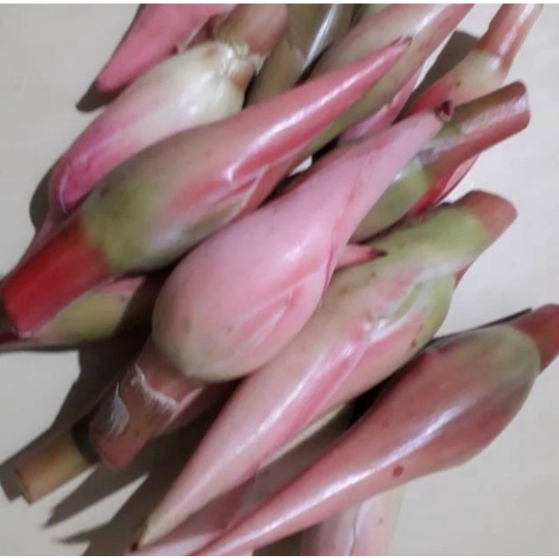 

Kencong Merah Berat 500 g (Pengiriman Medan)