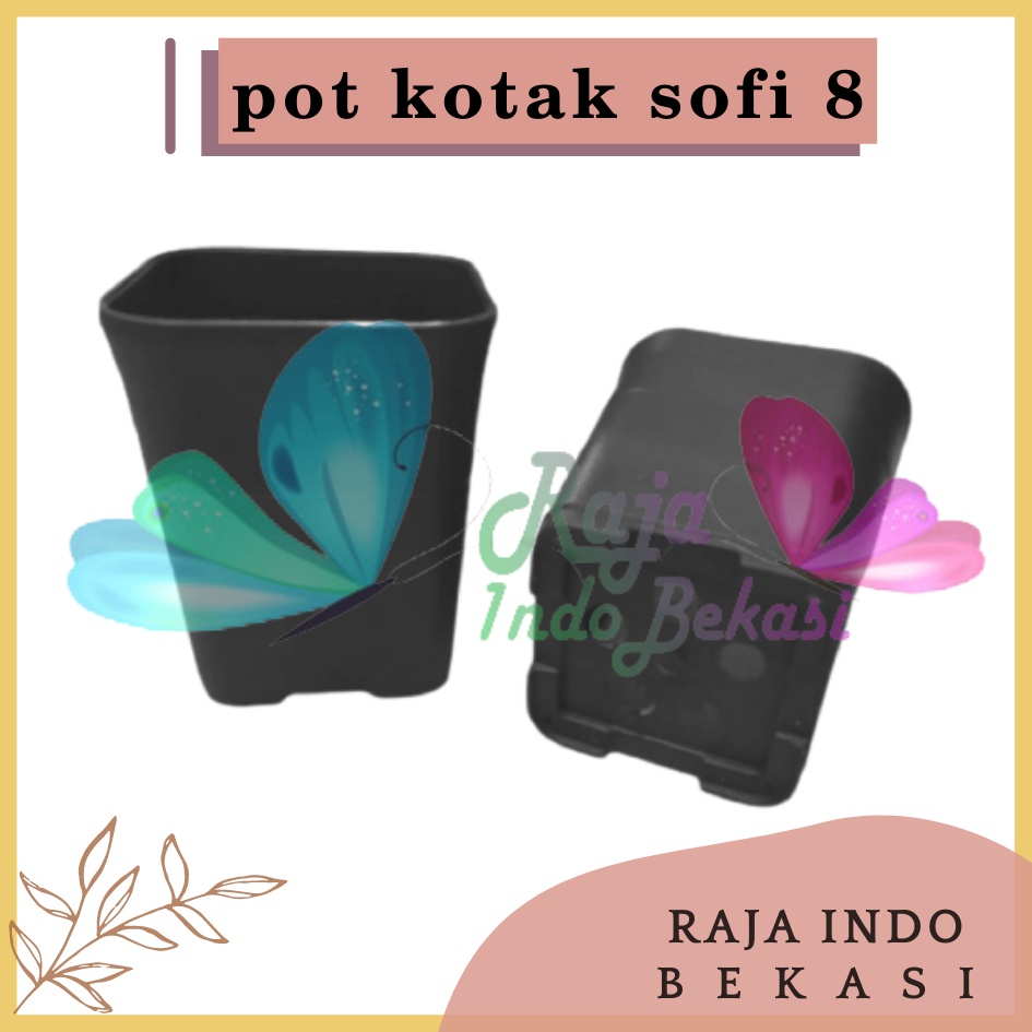 Pot Kotak Kecil Sofi 8 Cm Pot Sofi Batik Hitam Pot Cactus Katus Sanse Sekulen | Bukan Pot Nkt - Pot Kotak Kecil Hitam