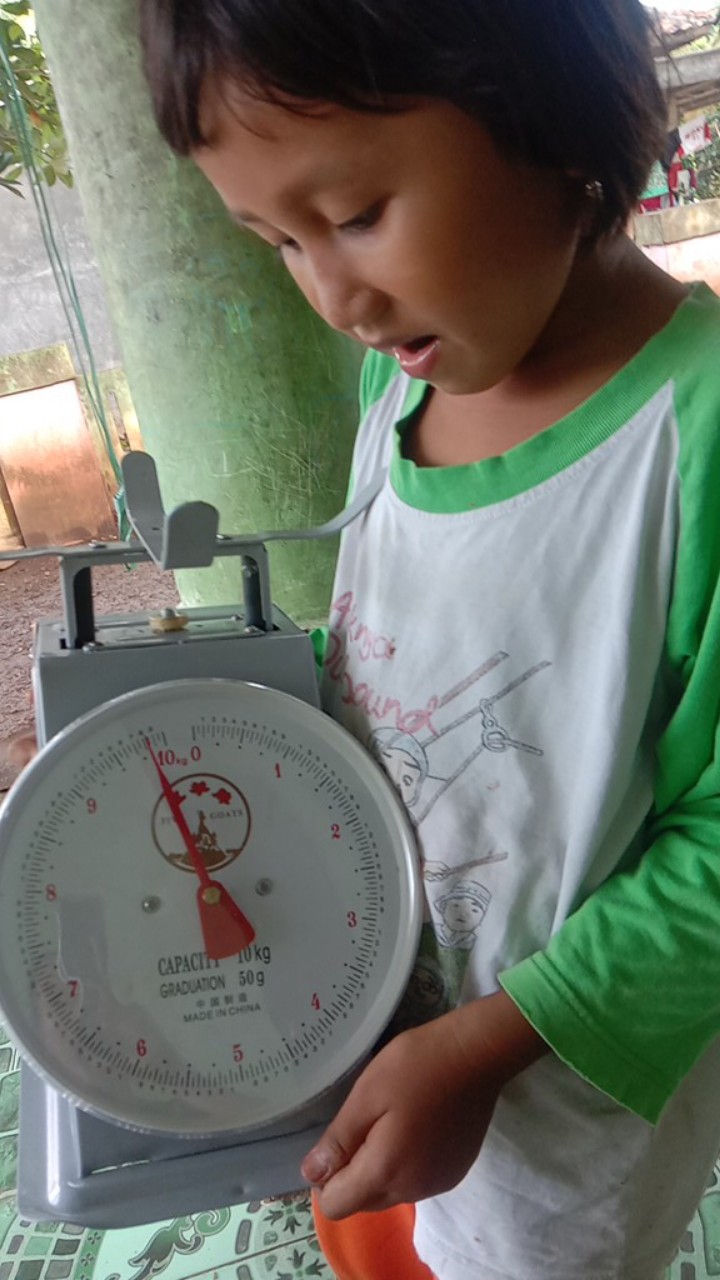 Five Goats Timbangan Buah Serbaguna Cap Kambing 5, 10, 15, 20 Kg