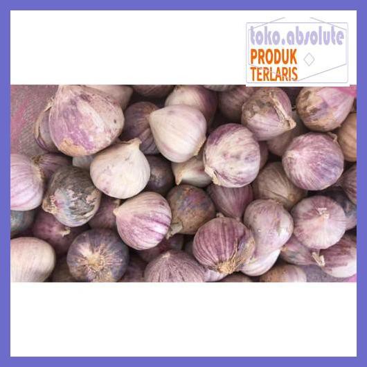 

6E64S6- Bawang Putih Tunggal 500gr 76Rdy-