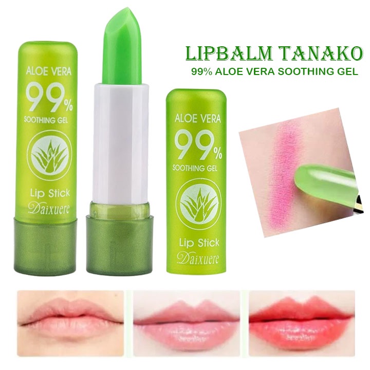 Beauty Jaya - Lip Balm Aloe Vera Tanako LipBalm Pelembab Bibir Pria Dan Wanita Alami