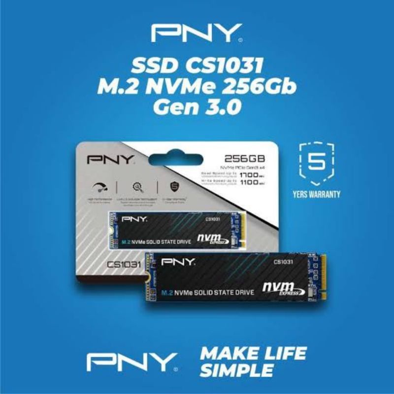 PNY M2 SSD 2280 CS1031 NVME 256GB GEN 3X4