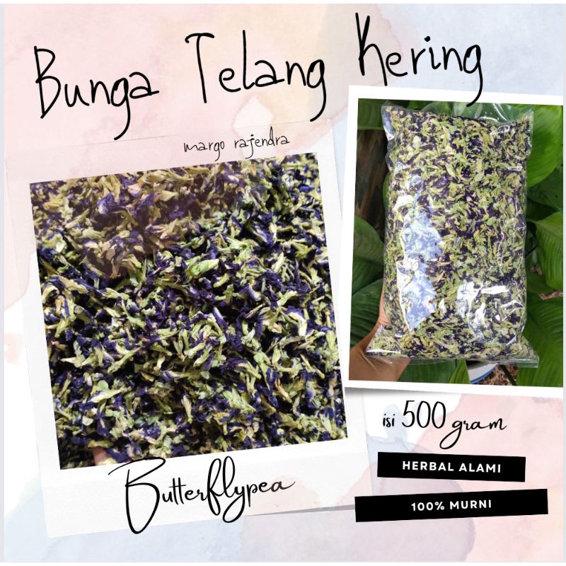 

Bunga Telang Kering 500GR Promo Murah Teh Butterflypea Organik