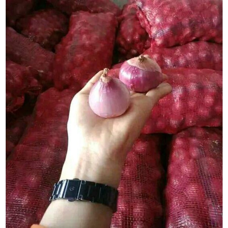 Bawang Merah India perkg