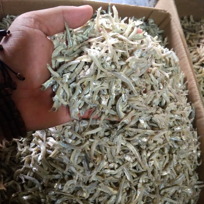 

Teri Bontio Kecil 1Kg - Bakoel Teri di Pasar