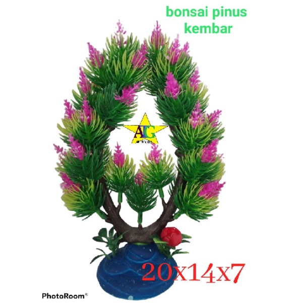 bonsai pinus kembar bonsai aquascape aquarium