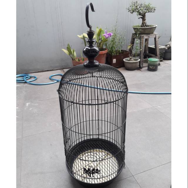 Sangkar kandang burung Lovebird BEKAS