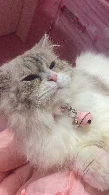 Maginot Kemeja Batik Pria Nandana-ls Lengan Panjang