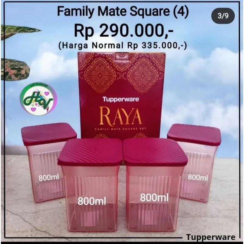 toples raya family mate tupperware 800 ml set ( 4pcs )