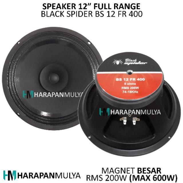 speaker full range 12 inch