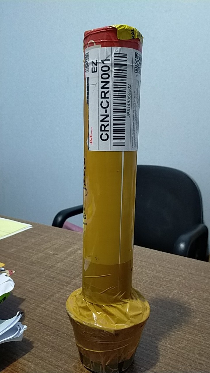 Aglonema Golden Siam Mutasi