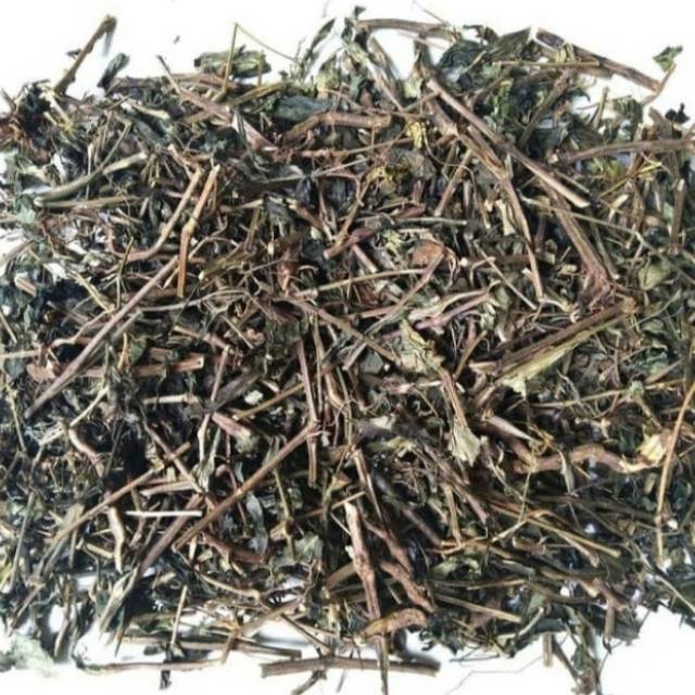 

Daun Sambiloto Kering 500gr Sambiroto Kering Asli Herbal