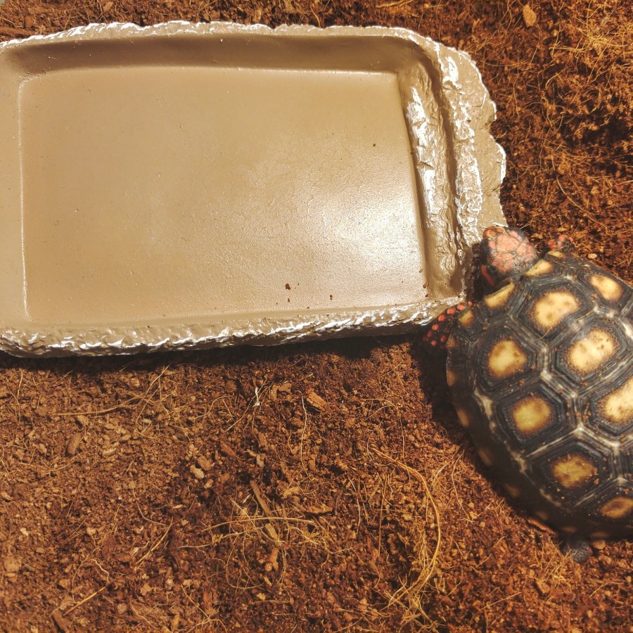 FEEDING DISH NOMOY NS 14/TEMPAT MAKAN REPTIL NS-14 KURA DARAT16x10X2