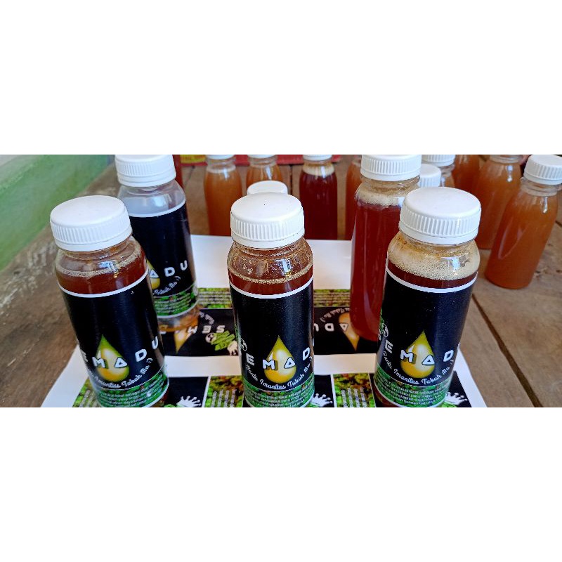 

madu kelulut/trigona/klanceng asli