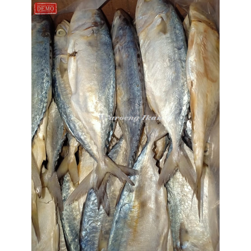 

Ikan Asin Kembung/Ikan Peda Putih Asin /500g