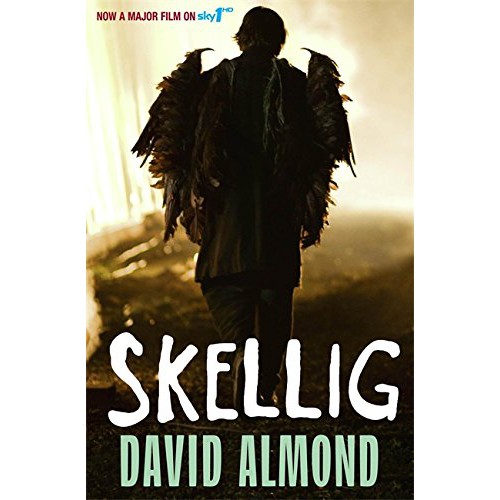 Buku Novel Import Skellig by David Almond. Bahasa Inggris