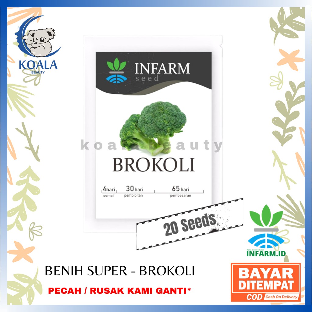 ❤ KOALA ❤ INFARM - Benih Bibit Unggul Brokoli - Sayuran Brokoli - Bibit Brokoli Segar - Bibit Super