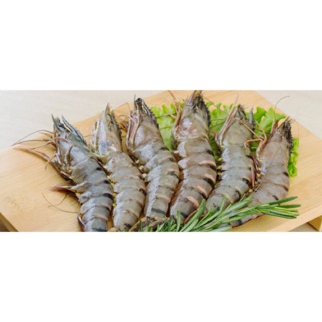 

Udang Pacet / Black Tiger / udang Windu / udang Pancet Besar JUMBO Segar Kiloan Pasar Murah Jakarta