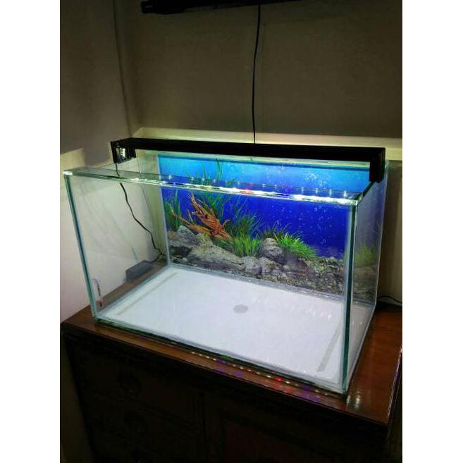 480 Koleksi Contoh Lampu Aquarium Gratis