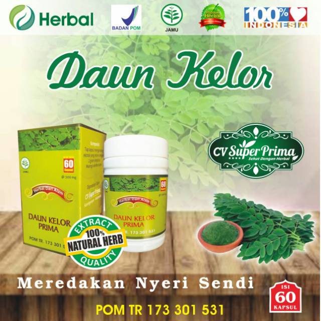 HERBAL DAUN KELOR MENURUNKAN GULA DARAH/MEREDAKAN RADANG/MENURUNKAN KOLESTROL/MENGOBATI NYERI SENDI