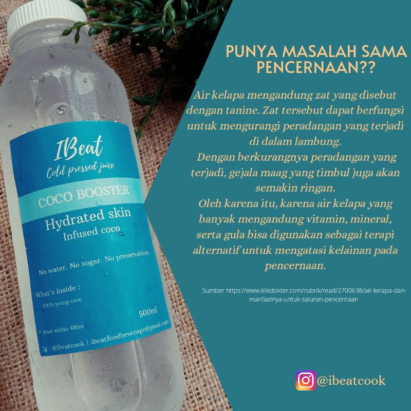 

Air Kelapa Muda COCO BOOSTER 500ML