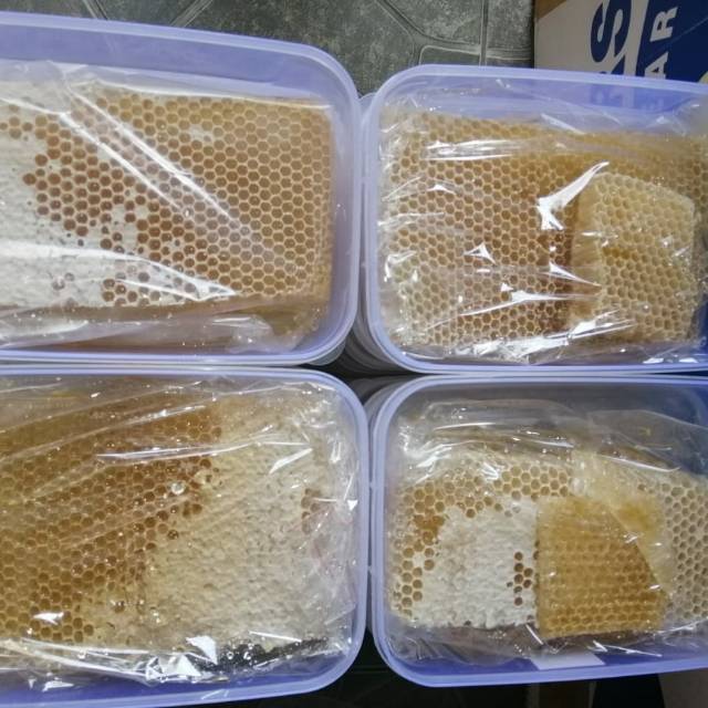

Madu Sarang Pati