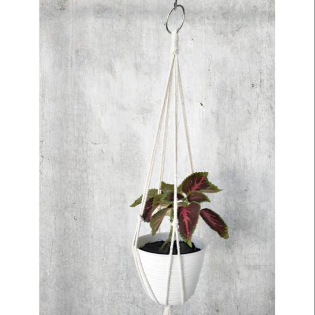 Gantungan pot bunga Tali gantungan pot Macrame plant hanger