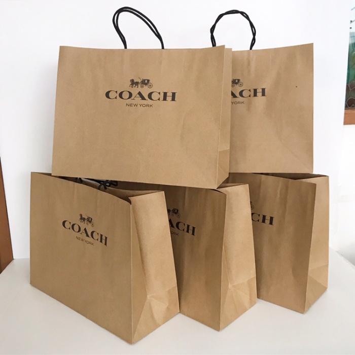 

✨ BISA COD ✨ paperbag coach size medium original