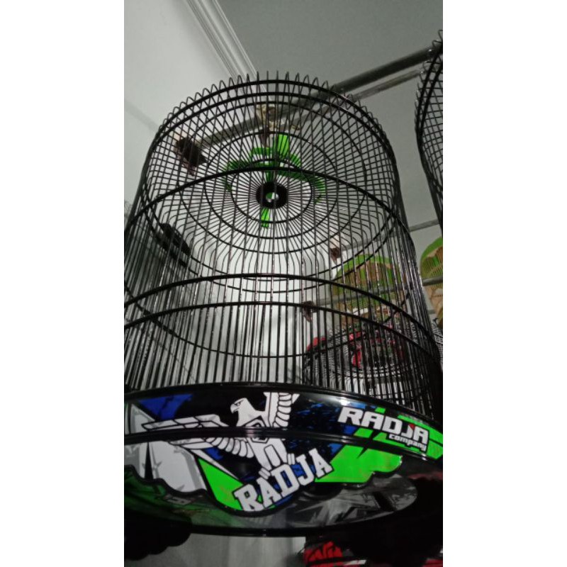 SANGKAR MURAI RADJA PVC DECAL NO 2 RED,GREEN,YELLOW STBL