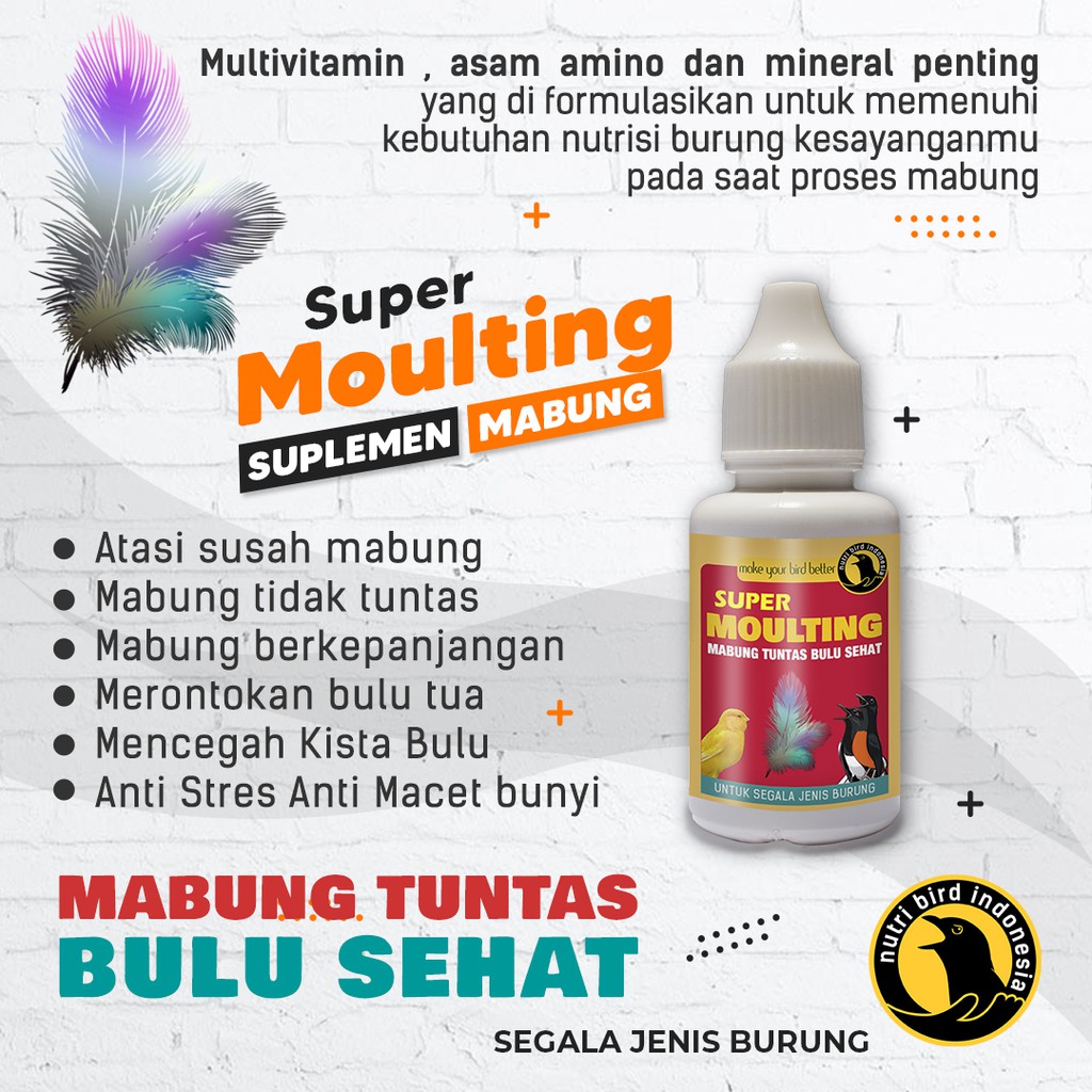 SUPER MOULTING VITAMIN BURUNG MABUNG