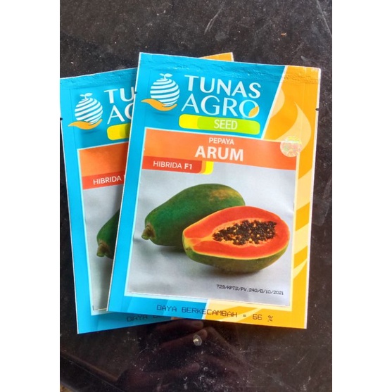 BENIH PEPAYA ARUM HIBRIDA F1 TUNAS AGRO