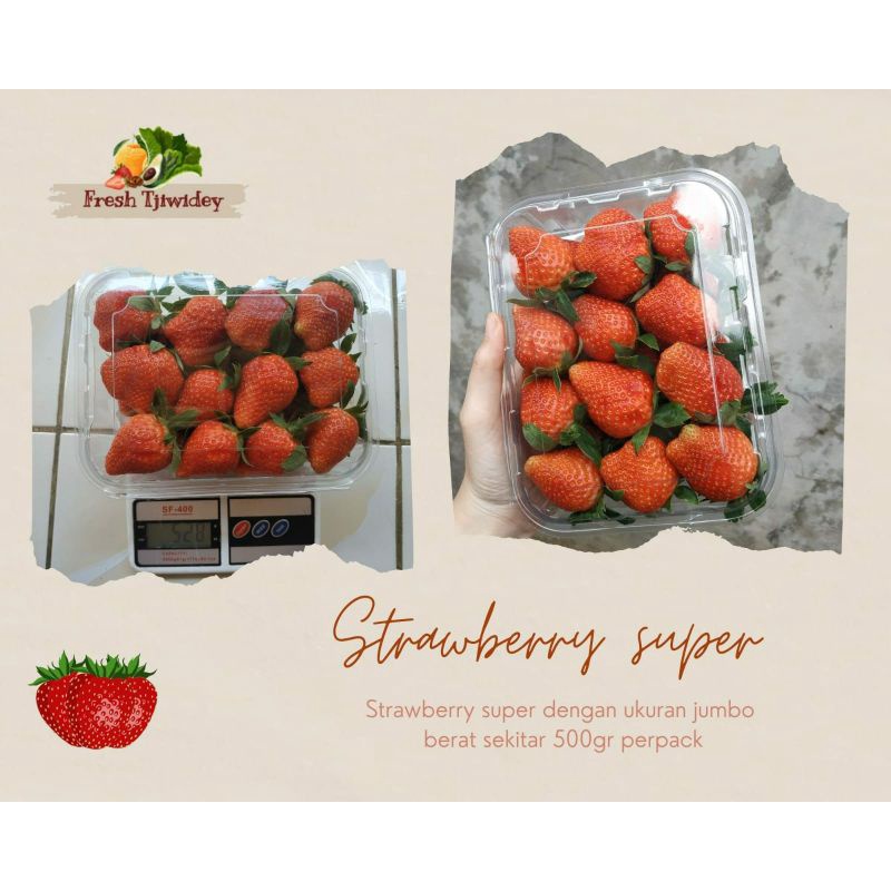 

Strawberry Fresh Ciwidey Super Premium Grade Jumbo