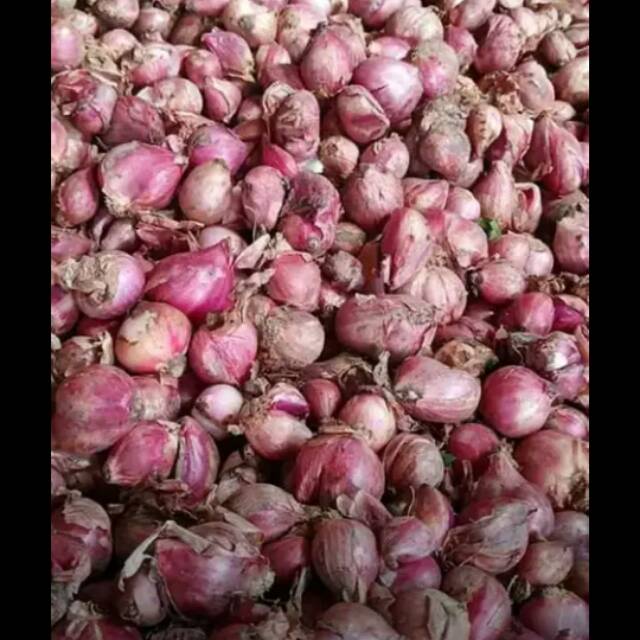 

Bawang merah
