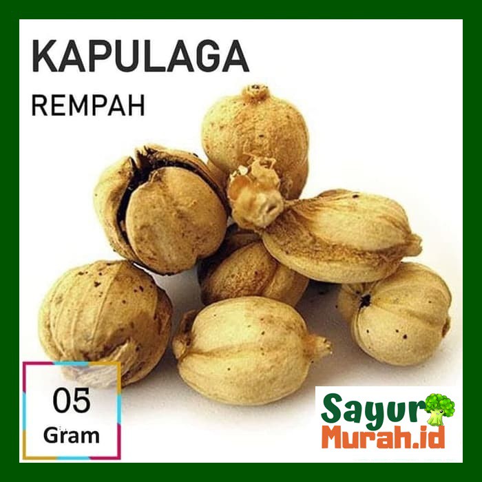 

KAPULAGA [5g]