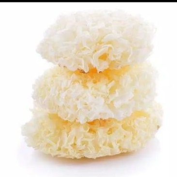 100 gr Jamur Es / Jamur Salju / Jamur Putih / White Fungus